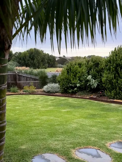 Backyard lawn with rockery planting