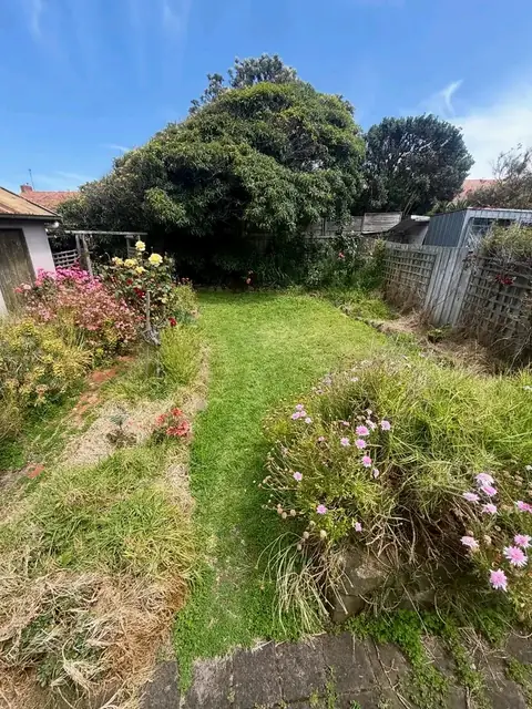 Backyard before and after a garden clean-up (before)