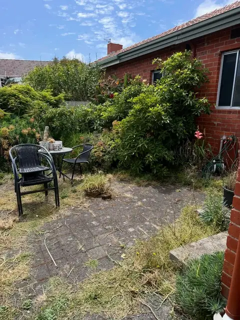 Backyard before and after a garden clean-up (before)