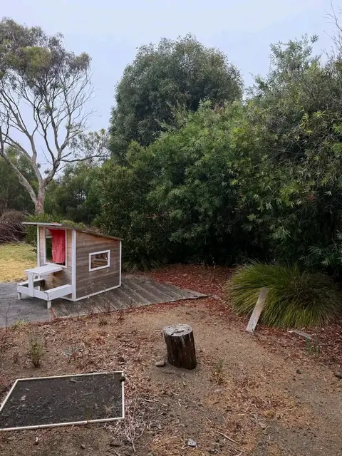 Backyard before and after a garden clean-up (before)