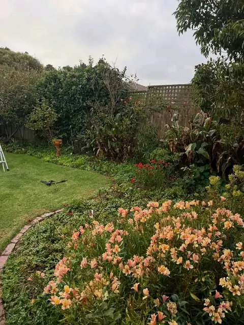 Newly planted garden bed along a fence (before)