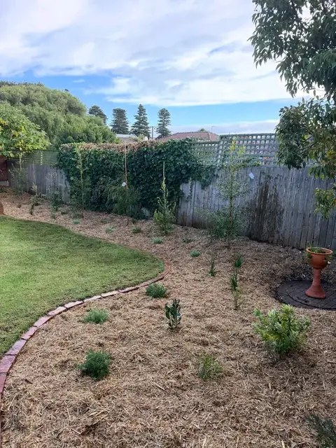 Newly planted garden bed along a fence