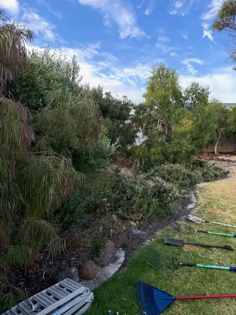 Restored garden with mulch and stone edging (before)