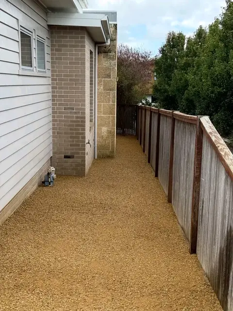 Mown lawn, stone wall and cloud-pruned tree (4 of 4)