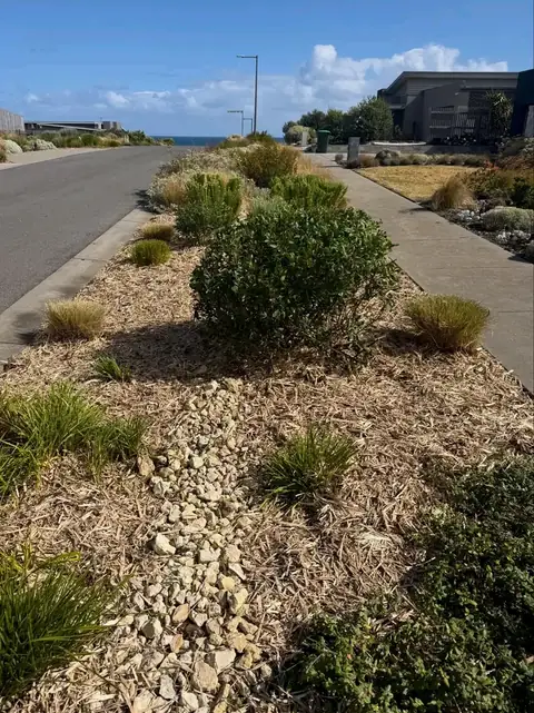 Native plants and gravel garden by the street