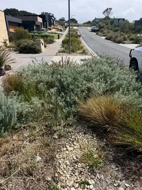 Native plants and gravel garden by the street (before)
