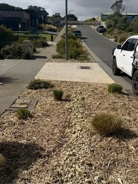 Native plants and gravel garden by the street (after)