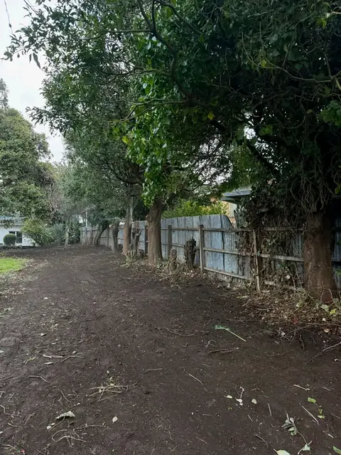 Backyard cleared of overgrowth in Warrnambool (after)